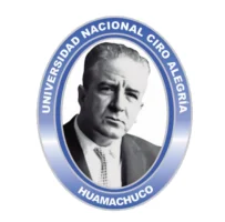 Captura de pantalla 2025-12-22 222614